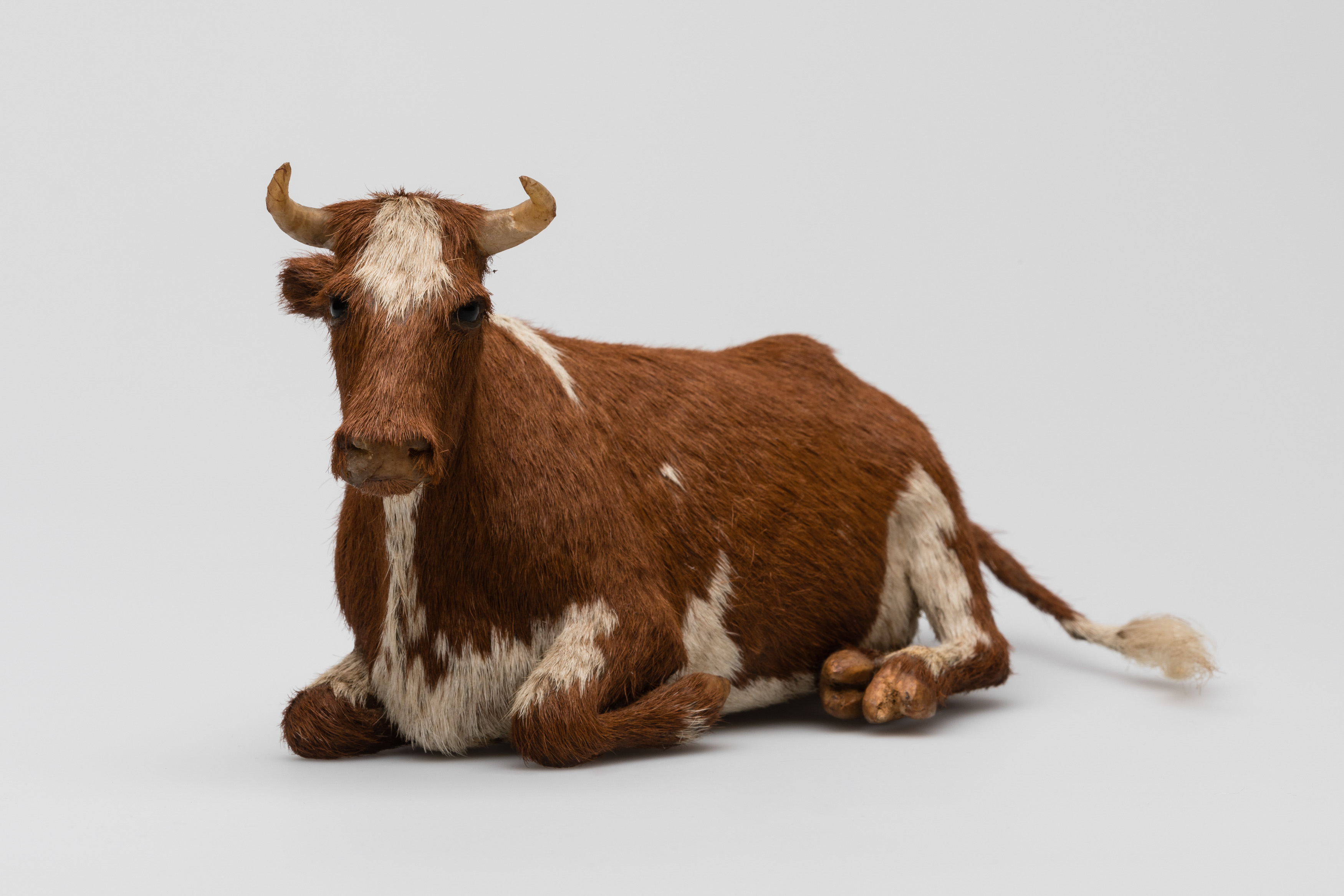 Realistic model of a cow, complete with horns and hair coat.